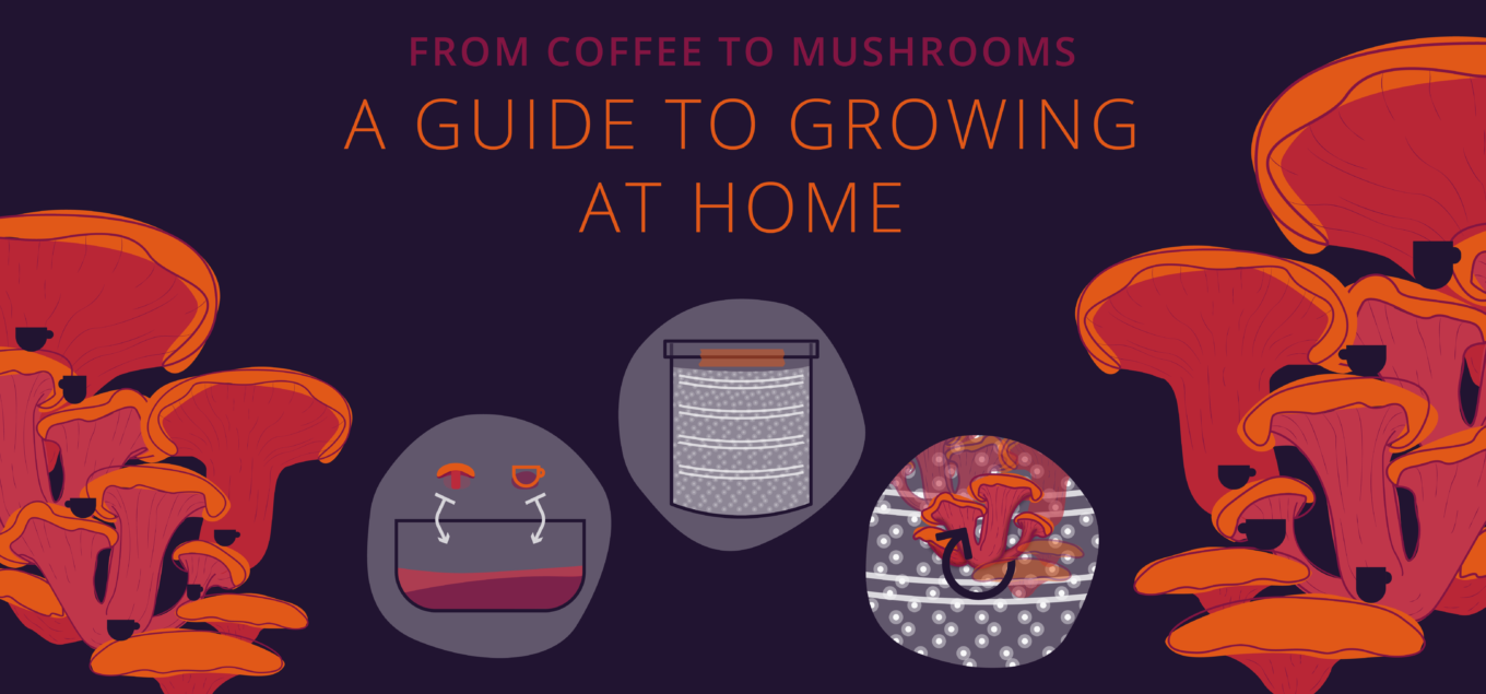 A guide to growing mushrooms